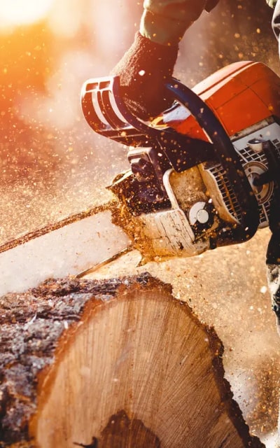 Tools img saw