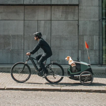 Remorque pour chien Thule Bexey M 1 890x890 crop center.webp