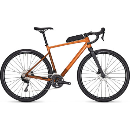 Orange 3.jpg