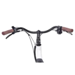 YC60WD AEX D1.webp