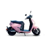 Ek1 rose 2 1 655x655.png.webp